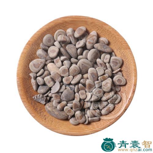 狗宝的性状性味归经以及功效用法和注意事项-青囊智