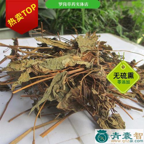 狗笠耳的性味归经以及功效用法-青囊智