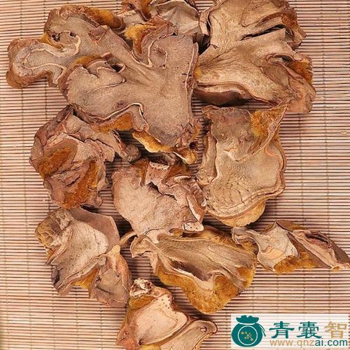 中药材狗肋巴图片
