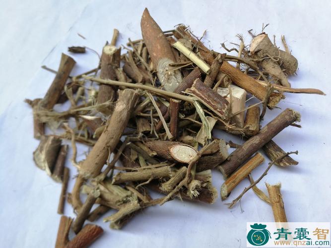 中药材狗脚啼图片
