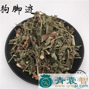 中药材狗脚蹄图片