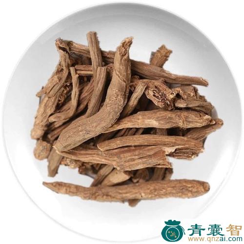 独根的性状性味归经以及功效用法和注意事项-青囊智