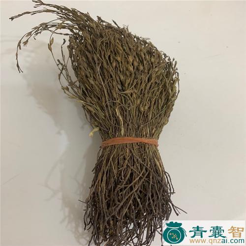 中药材独脚伞图片