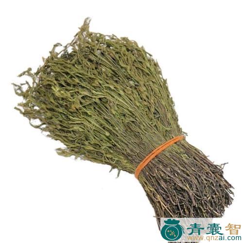 中药材独脚金图片