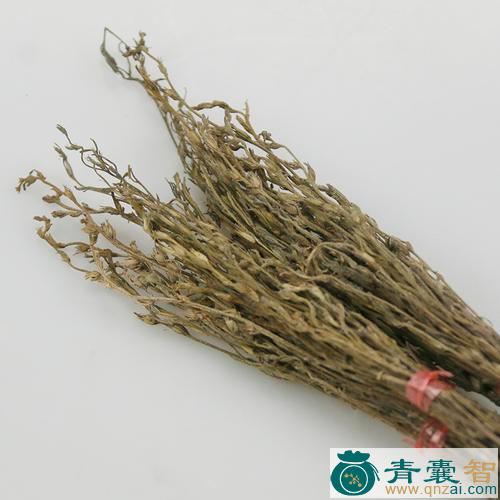 中药材独脚黄图片