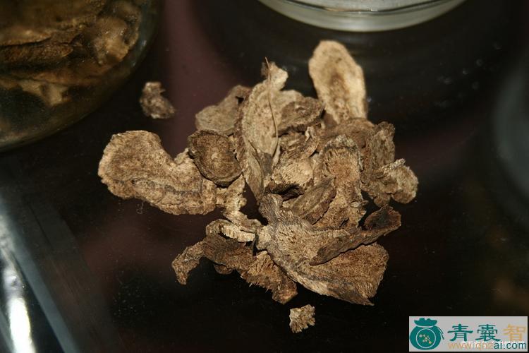 独行木香的性状性味归经以及功效用法和注意事项-青囊智