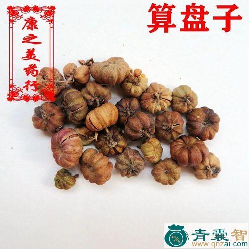 狮子滚球-青囊智