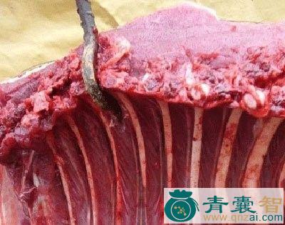 中药材狸肉图片