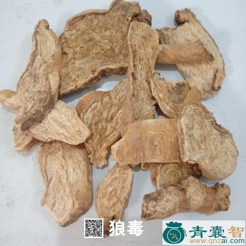 中药材狼目图片