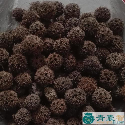 中药材狼眼图片