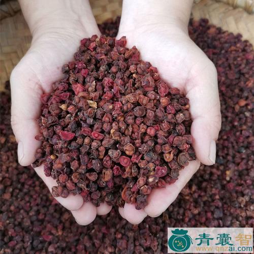 中药材猩猩南五味子图片