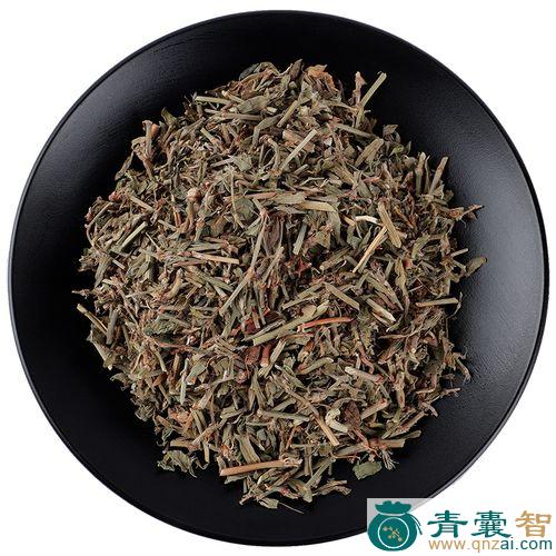 中药材猪乸稔图片