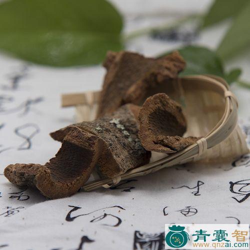 中药材猪头果图片