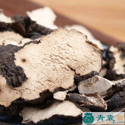 中药材猪屎苓图片