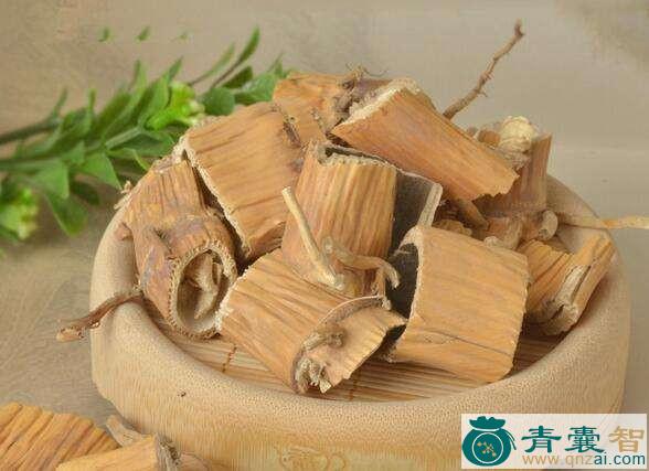 中药材猪母泡图片