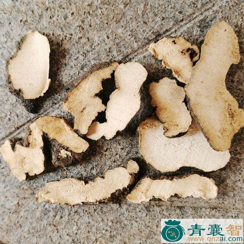 中药材猪潦子图片