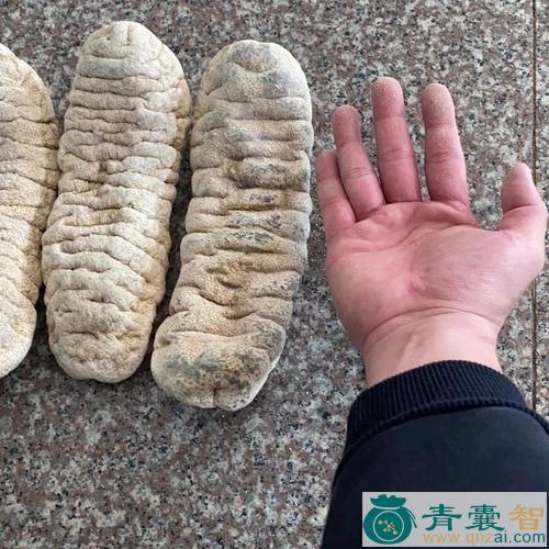 中药材猪牙参图片