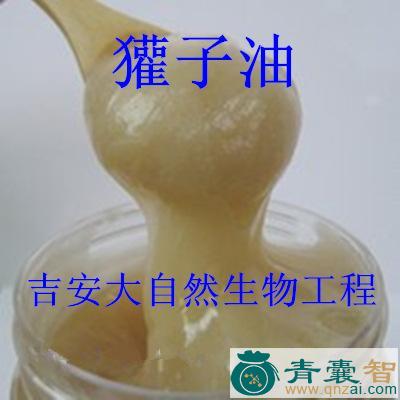 中药材猪獾油图片