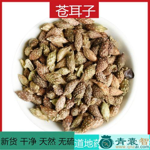 中药材猪耳风图片