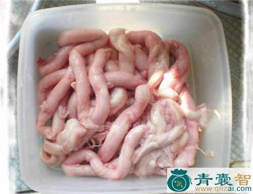 猪胞的性味归经以及功效用法-青囊智