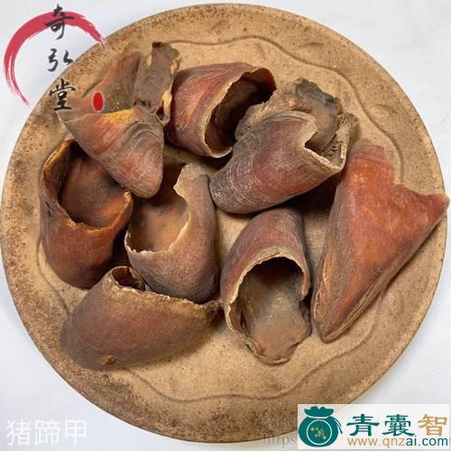 猪蹄合子的性状性味归经以及功效用法-青囊智