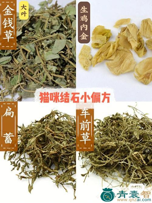 中药材猫仔病图片