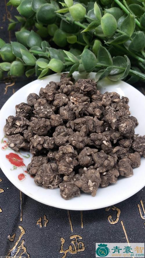 中药材猫龙草图片