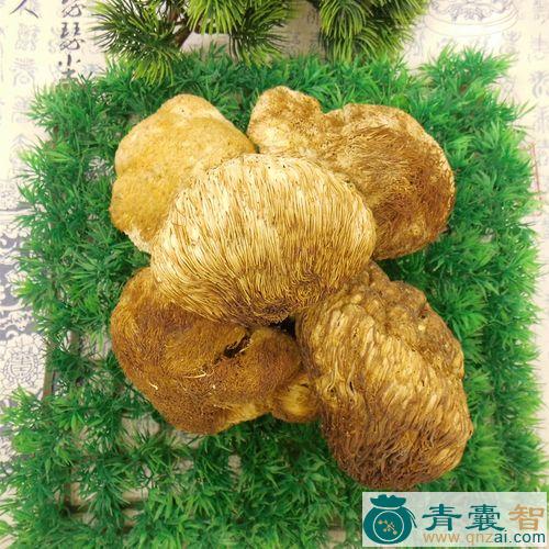 中药材猴头图片