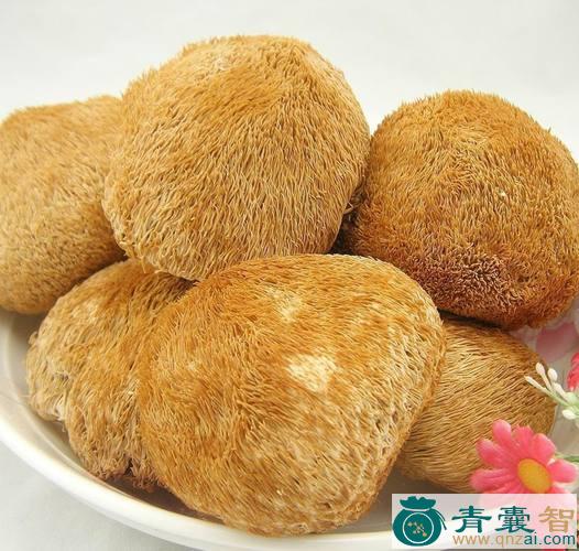 中药材猴头菇图片
