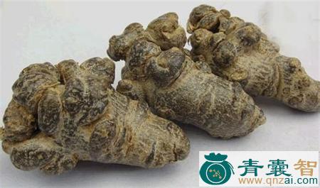中药材猴娃七图片
