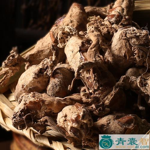 中药材猴子烟袋花图片