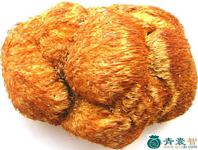 中药材猴毛头图片
