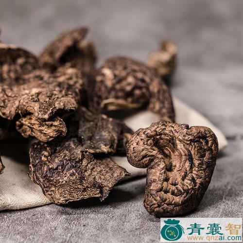 獐头菌的性味归经以及功效用法-青囊智