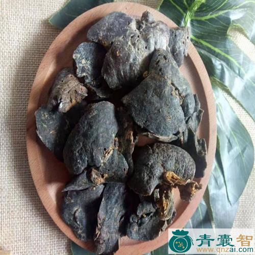 中药材獭肝图片