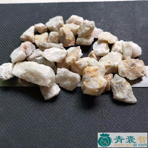 中药材玉图片