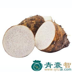中药材玉头图片