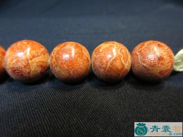 玉珊瑚根的性味归经以及功效用法-青囊智