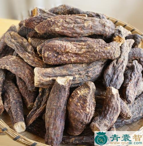 中药材玉苁蓉图片