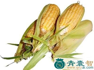 中药材玉蜀黍苞片图片