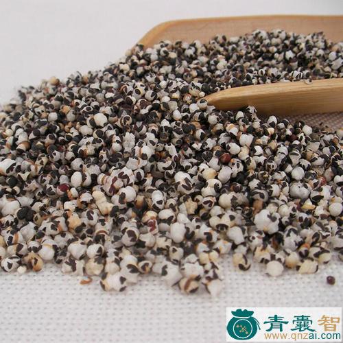 王不流行的性状性味归经以及功效用法和注意事项-青囊智