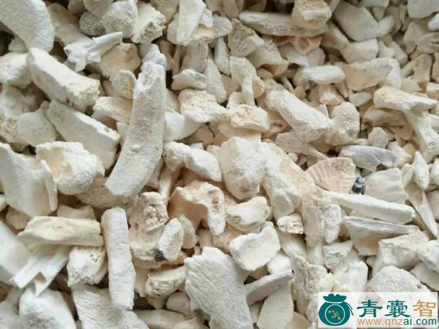 中药材王作骨头图片