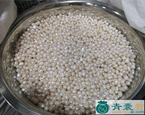 珍珠的性状性味归经以及功效用法和注意事项-青囊智