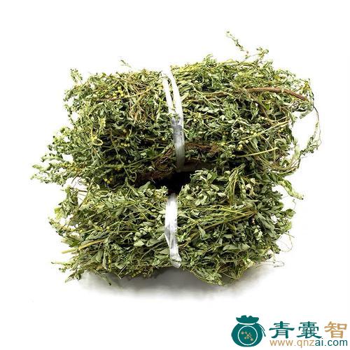中药材珍珠柳图片
