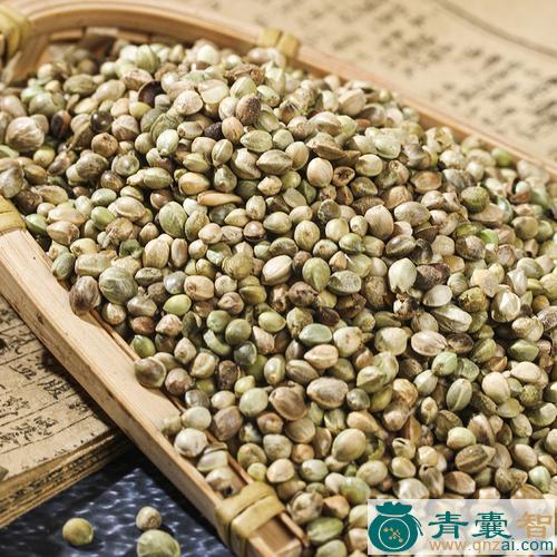 中药材珍珠麻图片