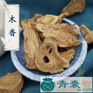中药材理木香图片