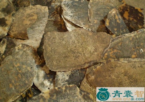 中药材瑇玳图片