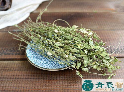 瓜子柴的性味归经以及功效用法-青囊智