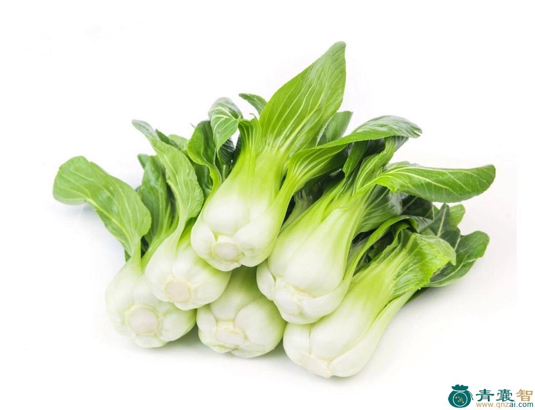 瓢儿菜的性味归经以及功效用法-青囊智