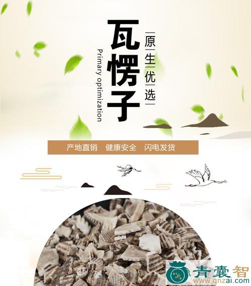 瓦屋子的性状性味归经以及功效用法和注意事项-青囊智