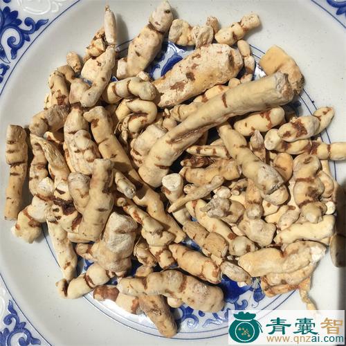 中药材甘遂图片